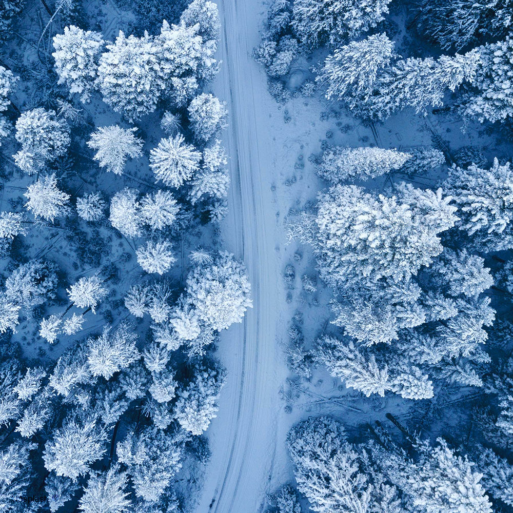 Colori Winter Cool.
