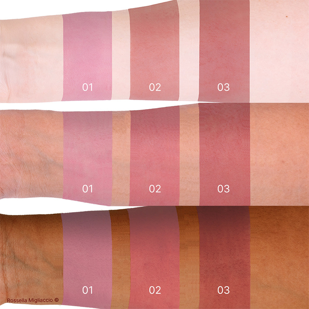 Swatch dei 3 blush winter contenuti nel Cofanetto Deluxe Winter di Armocromia Rossella Migliaccio. Su tre sottotoni di pelle.